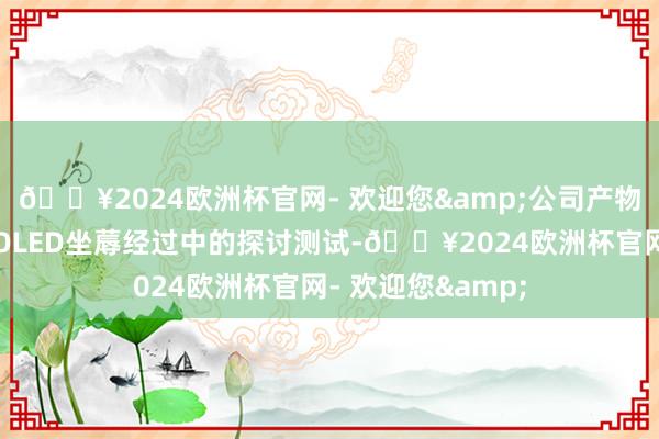 🔥2024欧洲杯官网- 欢迎您&公司产物不错行使于硅基OLED坐蓐经过中的探讨测试-🔥2024欧洲杯官网- 欢迎您&